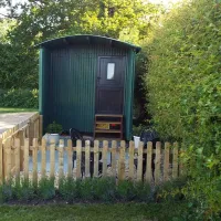 hill-cottage-farm-camping-and-caravan-park-fordingbridge-u3ohf