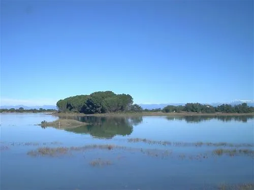 campeggio-isola-del-paradiso-grado-kojks