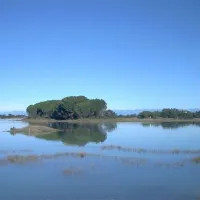 campeggio-isola-del-paradiso-grado-kojks