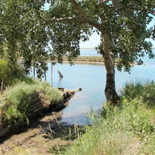 campeggio-isola-del-paradiso-grado-u3n5w