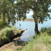 campeggio-isola-del-paradiso-grado-u3n5w