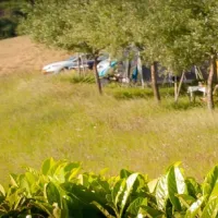 camping-perticara-novafeltria-knd3n