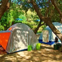 campsite-nopigia-nopigia-6ncvg