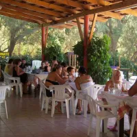campsite-nopigia-nopigia-7iner