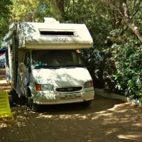 campsite-nopigia-nopigia-8onnh