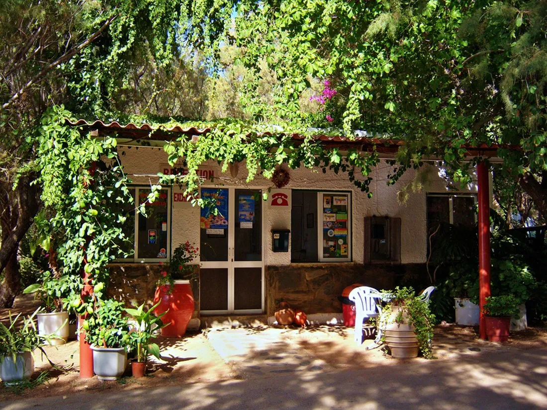 campsite-nopigia-nopigia-mbymt
