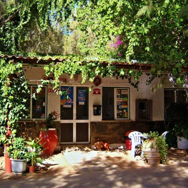 campsite-nopigia-nopigia-mbymt