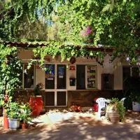 campsite-nopigia-nopigia-sfvvm