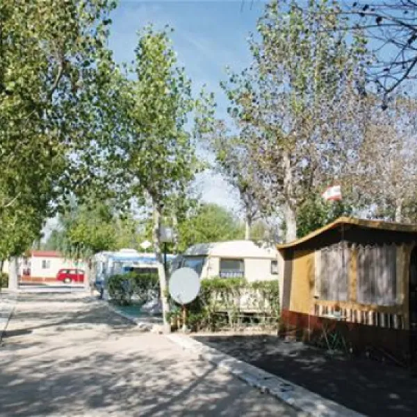 camping-pepe-oliva-ydtka