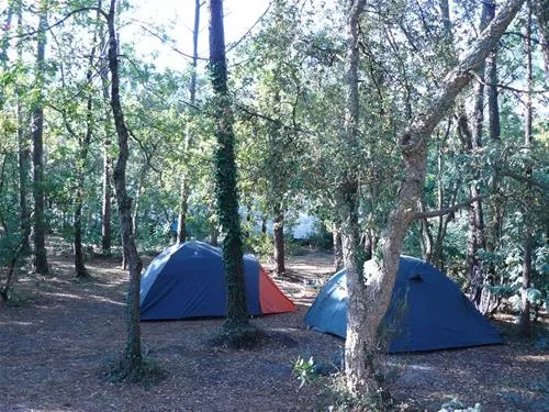 camping-le-moisan-messanges-4bx7b