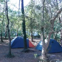 camping-le-moisan-messanges-4bx7b
