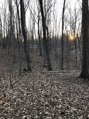smith-mountain-lake-state-park-huddleston-qmisa