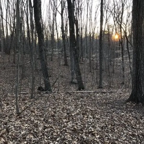 smith-mountain-lake-state-park-huddleston-qmisa