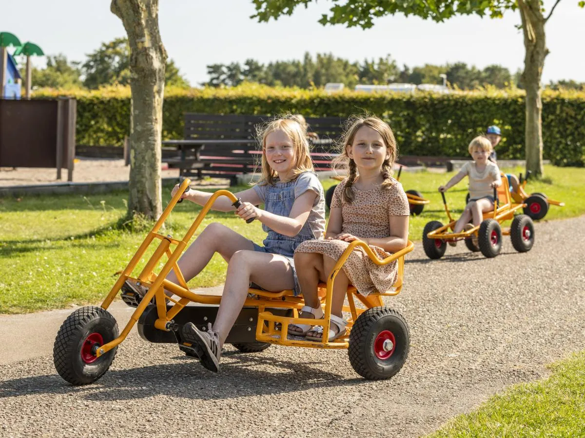 Raageleje VI
