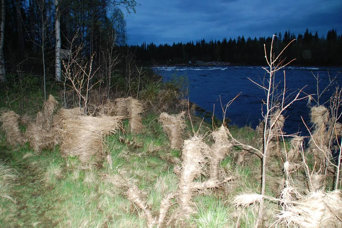 jockfalls-fiske-fritidsanlaggning-overkalix-67tjs