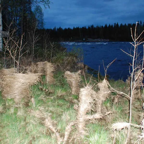 jockfalls-fiske-fritidsanlaggning-overkalix-67tjs