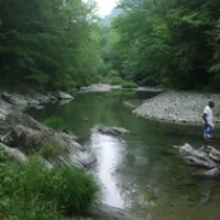 Aqua Vista Campground