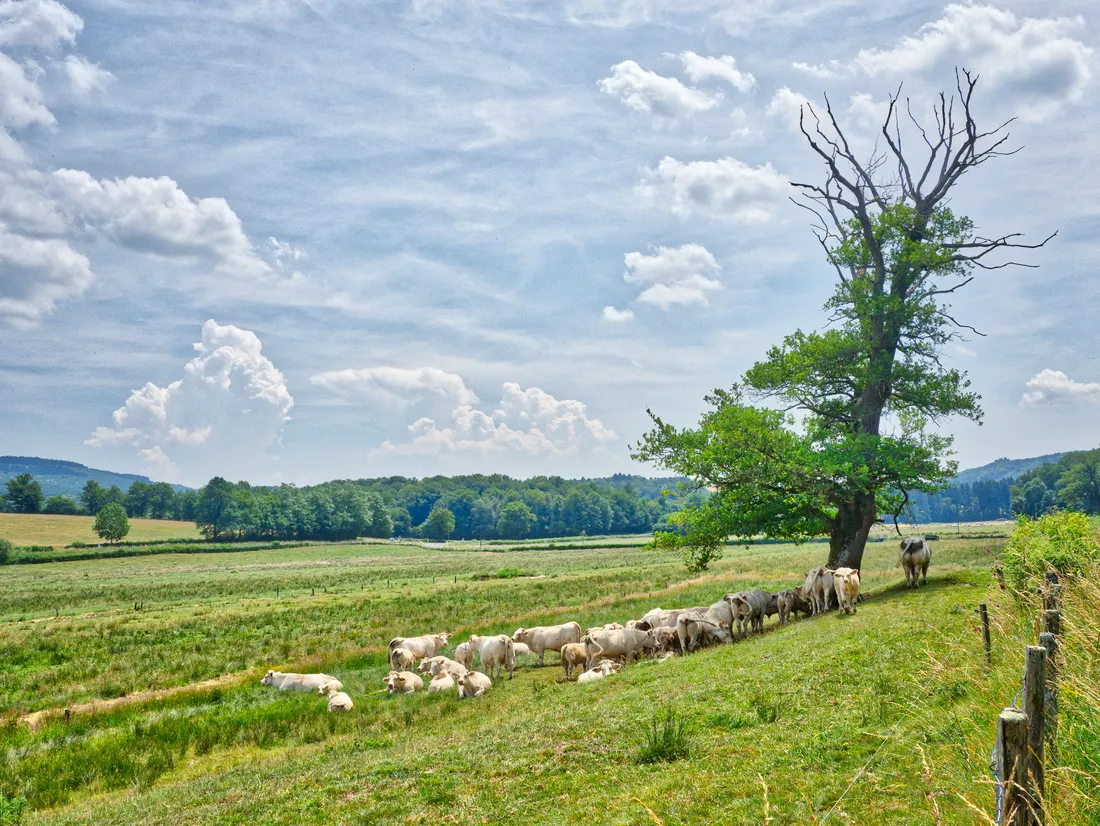 le-paroy-la-tagniegravere-saone-et-loire-goqsf