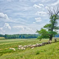 le-paroy-la-tagniegravere-saone-et-loire-goqsf
