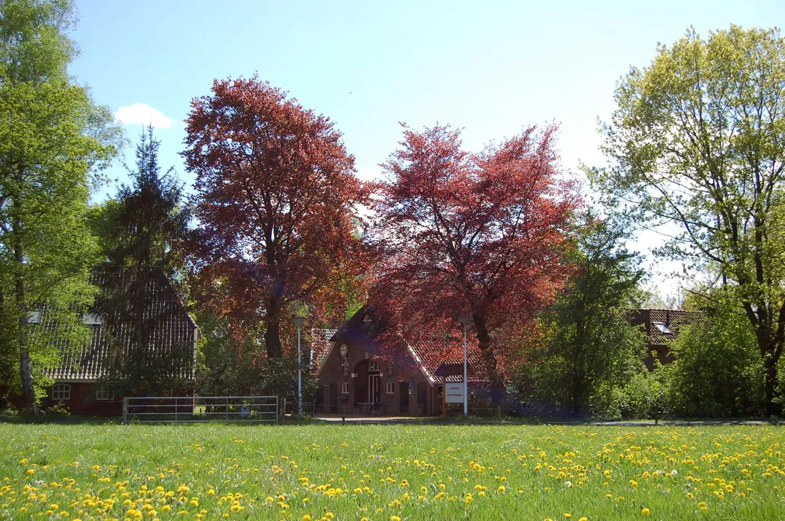 hof-van-moeder-aarde-neede-toxxz