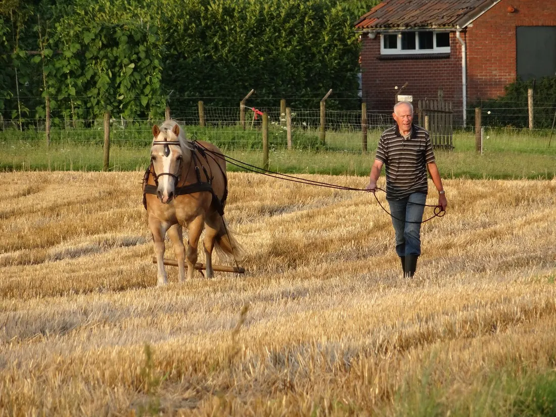 hof-van-moeder-aarde-neede-xk8ox