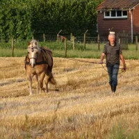 hof-van-moeder-aarde-neede-xk8ox