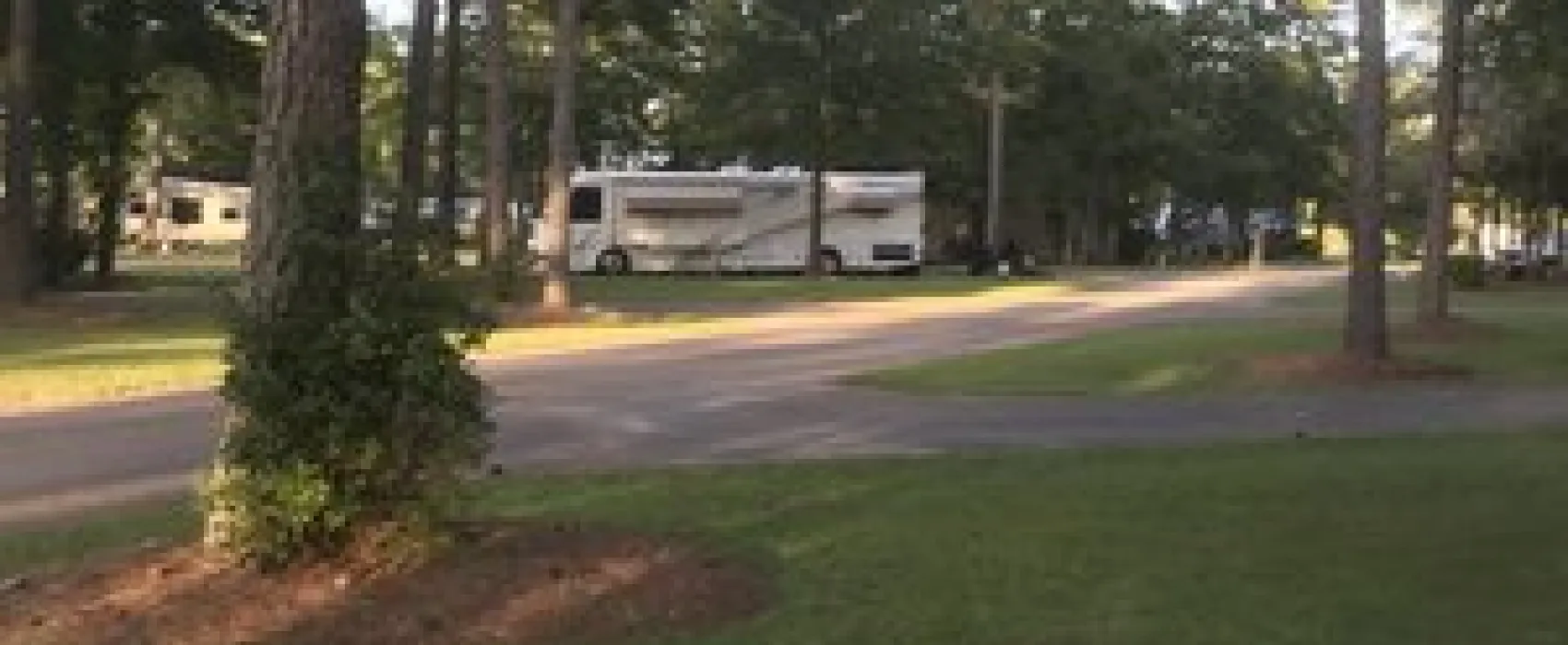 Willow Tree Resort