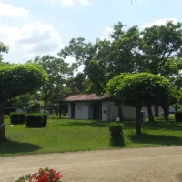 camping-municipal-grenade-sur-ladour-grenade-sur-ladour-0neod