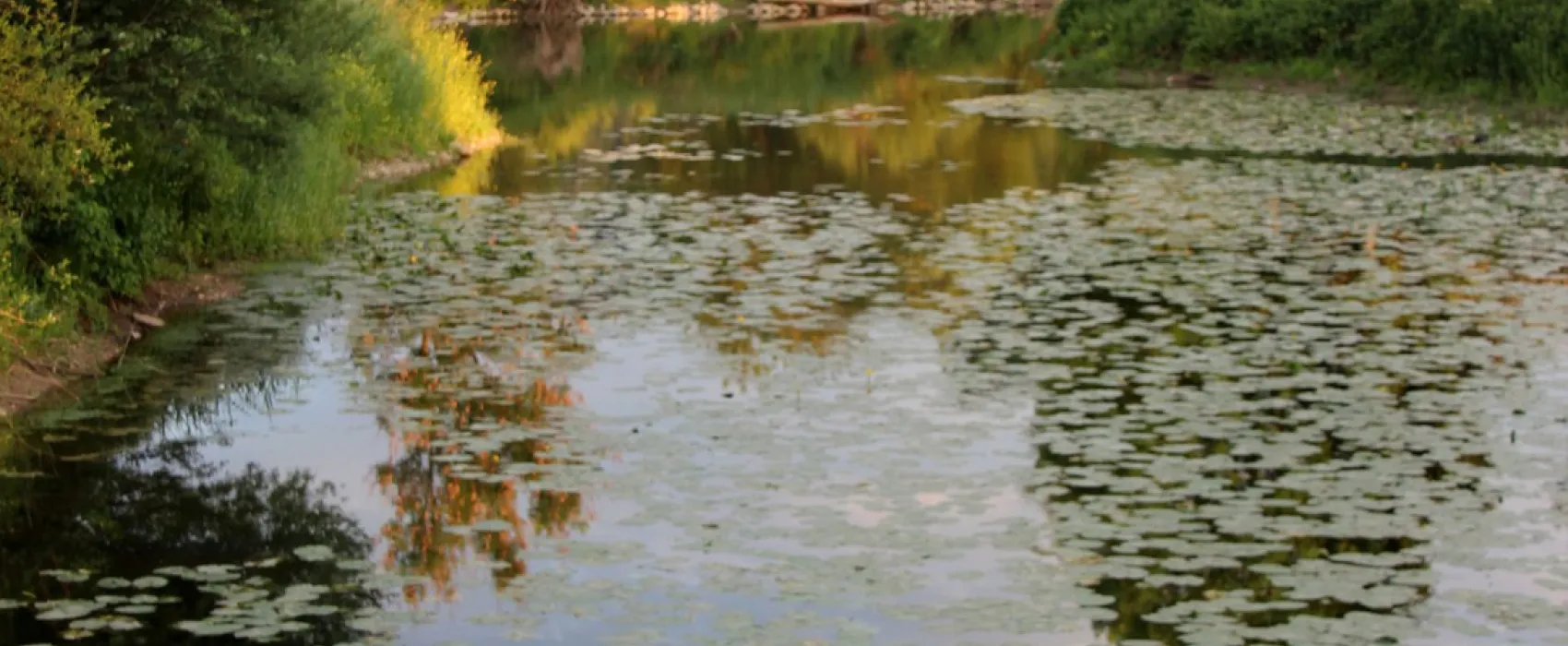 An der Altmühl