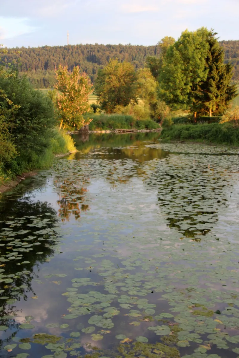 an-der-altmuhl-beilngries-xyep3