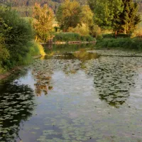 an-der-altmuhl-beilngries-xyep3