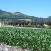 la-pommeraie-gerde-dhnid