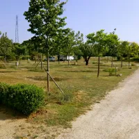la-cle-des-champs-apt-qilvp