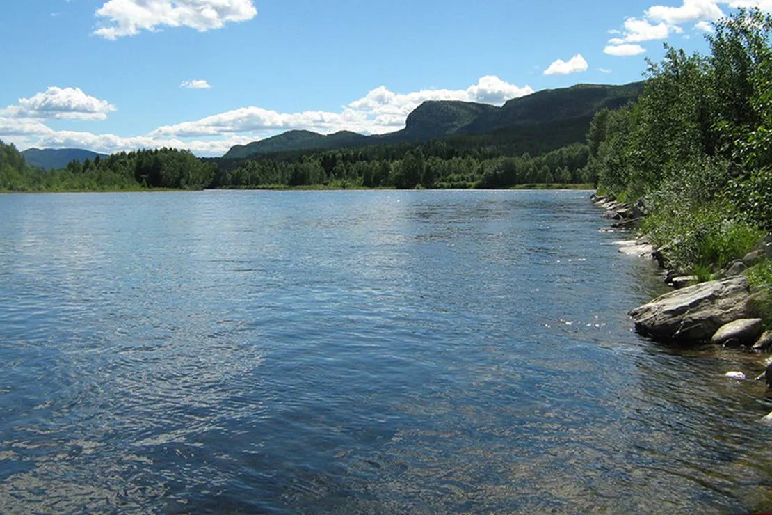 koppang-camp-og-hytteutleie-koppang-ayyhl