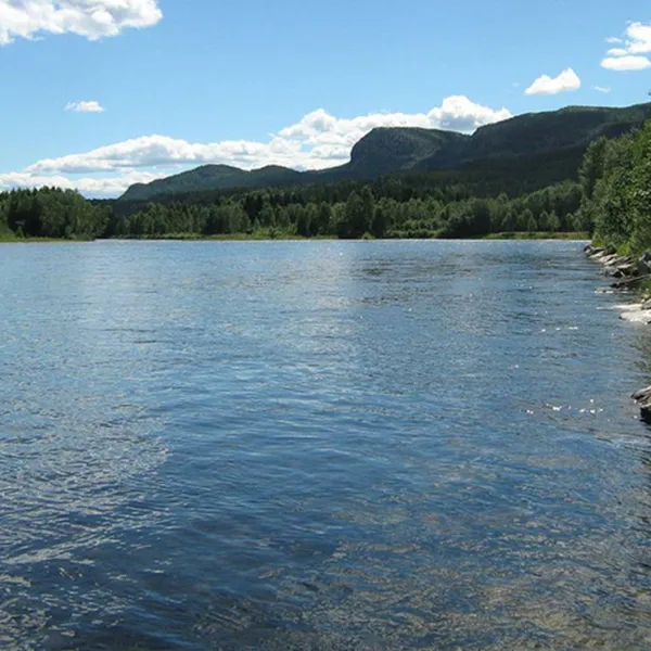 koppang-camp-og-hytteutleie-koppang-ayyhl