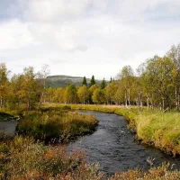 koppang-camp-og-hytteutleie-koppang-tfpv5