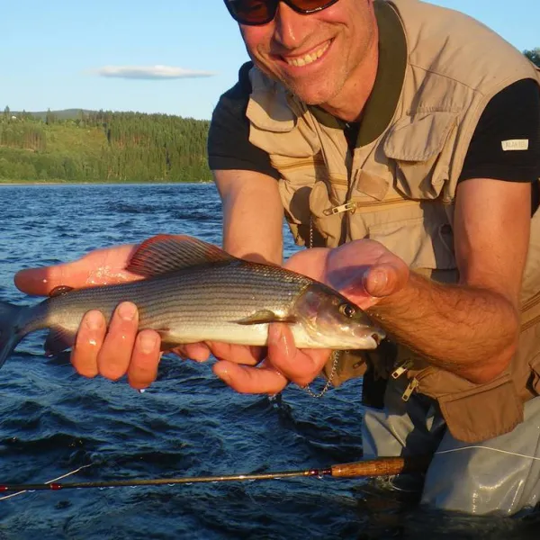 koppang-camp-og-hytteutleie-koppang-xckgy