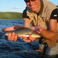 koppang-camp-og-hytteutleie-koppang-xckgy