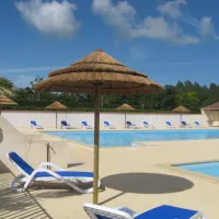 les-floralies-dolus-doleron-ile-doleron-tz2jp