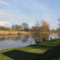 camping-insel-bambergbug-k9rme