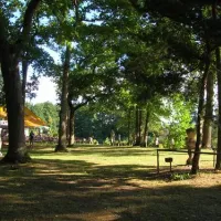 camping-insel-bambergbug-lvi3y