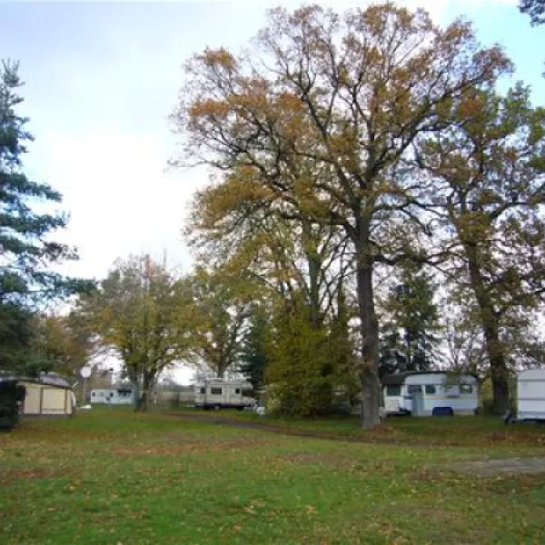 camping-insel-bambergbug-qmb20