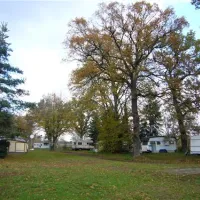 camping-insel-bambergbug-qmb20