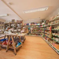 monkton-wyld-farm-bridport-f1o3v