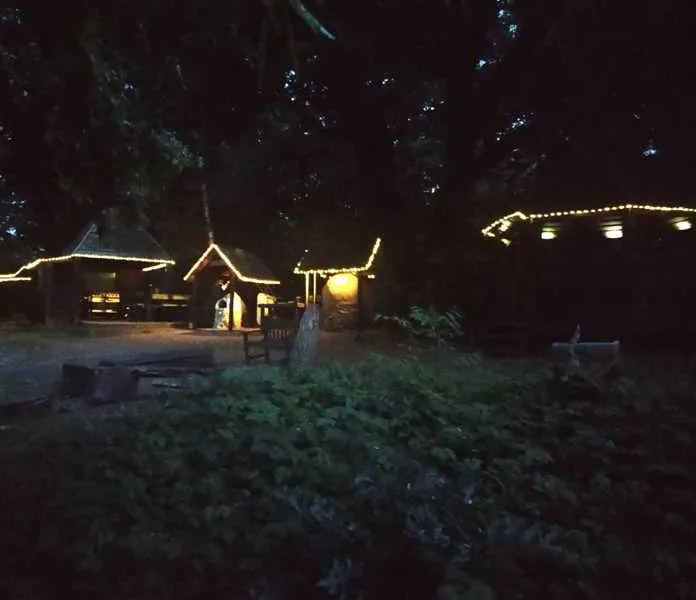 monkton-wyld-farm-bridport-oakie