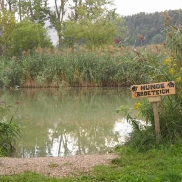 rutar-lido-fkkseecamping-eberndorf-ceb01
