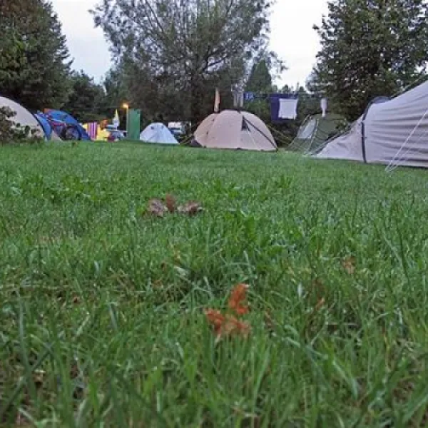 campingplatz-beim-fischer-mnsingst-heinrich-io2t8