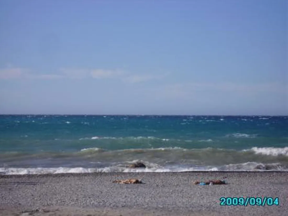 campeggio-vallecrosia-vallecrosia-nzgid