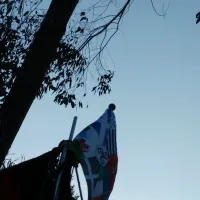 Camping Le Bois Coudrais  