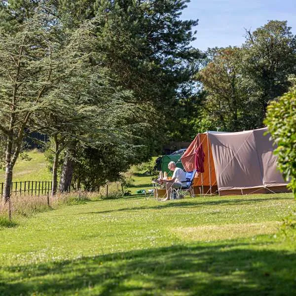 heligan-woods-caravan-camping-park-st-austell-aafqp